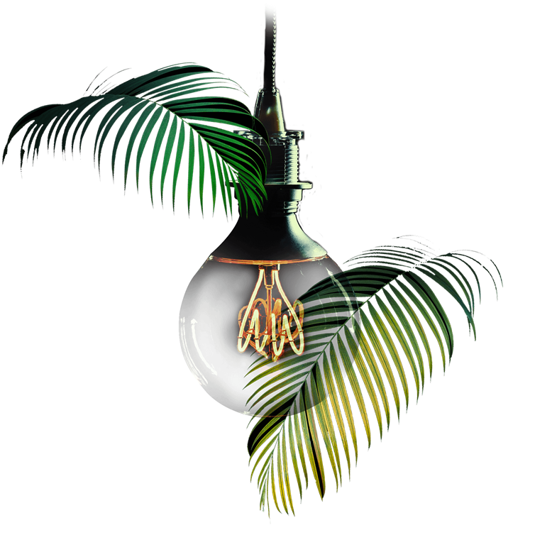 Swot Creative Hub Agency